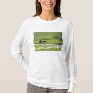 Camiseta Fazenda de Amish com cavalo e charrete perto de Be