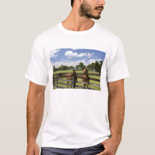 Camiseta Fazenda de cavalos puro-sangue no Condado de Mario