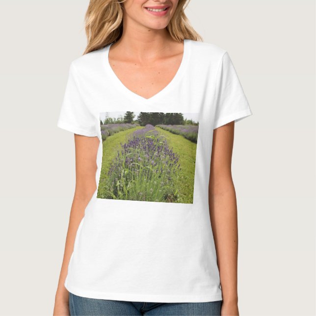 Camiseta Fazenda de Lavanda de Seafoam (Frente)