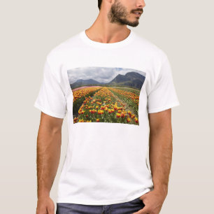 Camiseta Fazenda de Tulipas perto de Agassiz, Colúmbia Brit