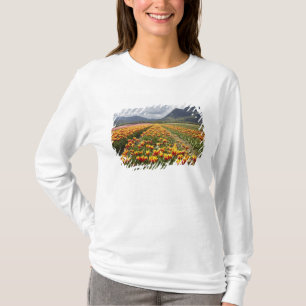 Camiseta Fazenda de Tulipas perto de Agassiz, Colúmbia Brit