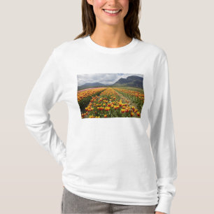 Camiseta Fazenda de Tulipas perto de Agassiz, Colúmbia Brit