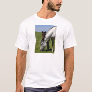 Camiseta Fazenda Rancho de Cavalo Fundo Natureza Destino