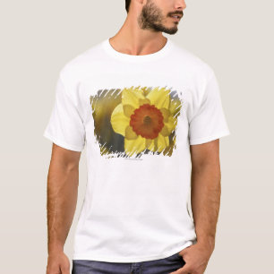 Camiseta Feche acima Daffodil amarelo/alaranjado