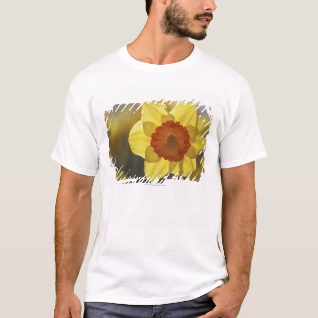 Camiseta Feche acima Daffodil amarelo/alaranjado (Frente)