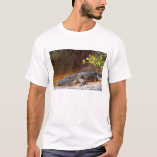 Camiseta Feche um jacaré americano no J.N.