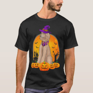 Camiseta Feiticeira Engraçada Pumpkin Poodle Halloween
