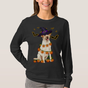 Camiseta Feiticeiro magro Luz a árvore Abóbora Salão do Par