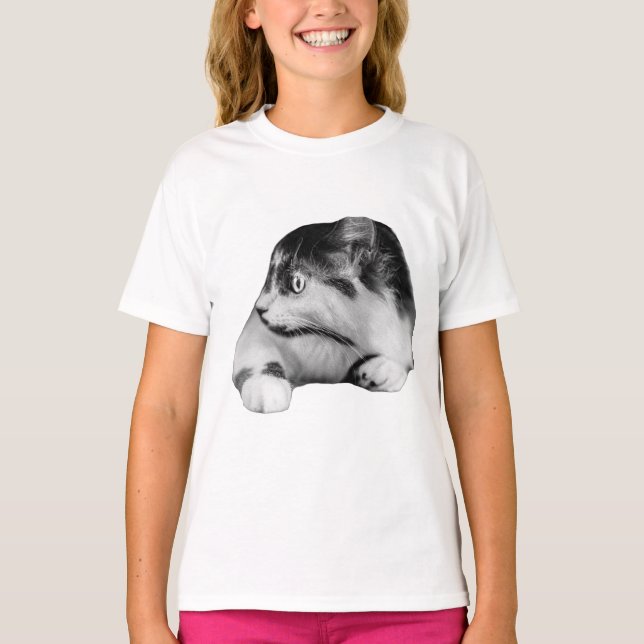 Camiseta Felino curioso no outono (Frente)