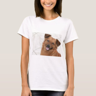 Camiseta Feliz Cachorro Marrom
