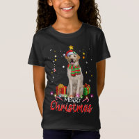 Feliz Natal Labrador Santa Hat Tree Lights Pj