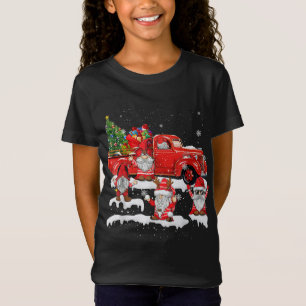Camiseta Feliz Papai noel de Natal Gnomo com Gnomos de Cami
