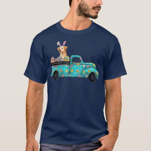 Camiseta Felz pascoa Cachorro Coelho Cachorro Labrador Ovos