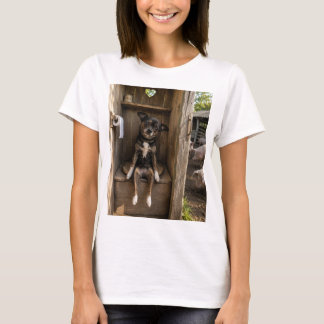 Camiseta Feminina de Chihuahua Engraçado Fazendo S