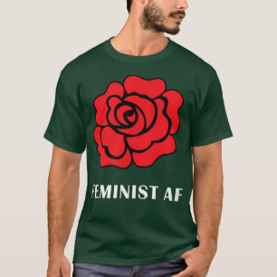 Camiseta Feminismo Engraçado Igualdade Feminista Direitos d