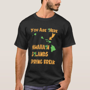 Camiseta Férias de Primavera no Havaí 2025 Praia Família Co