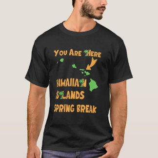 Camiseta Férias de Primavera no Havaí 2025 Praia Família Co