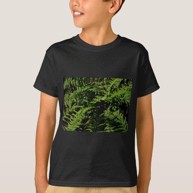 Camiseta Ferns do Chão da Floresta (Frente)