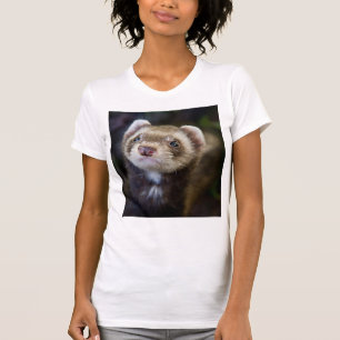 Camiseta Ferret