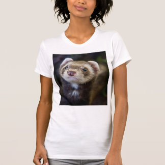 Camiseta Ferret