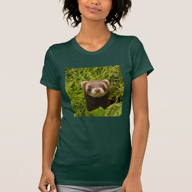 Camiseta Ferreto castanho-bonito na grama (Frente)