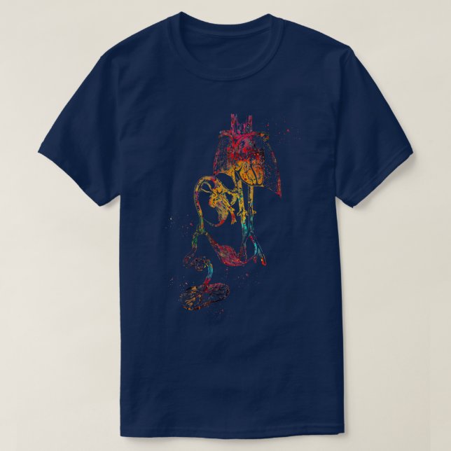 Camiseta Feto sistema cardiovascular 1 (Frente do Design)