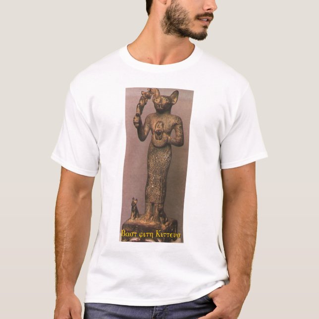 Camiseta Fibra com gatinhos (Frente)