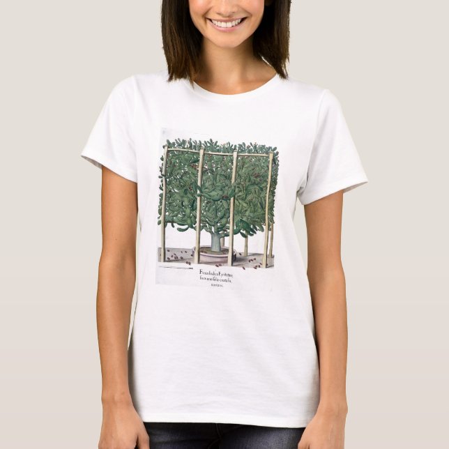 Camiseta Ficus indica eystettensis, do "Equtus Eystet (Frente)