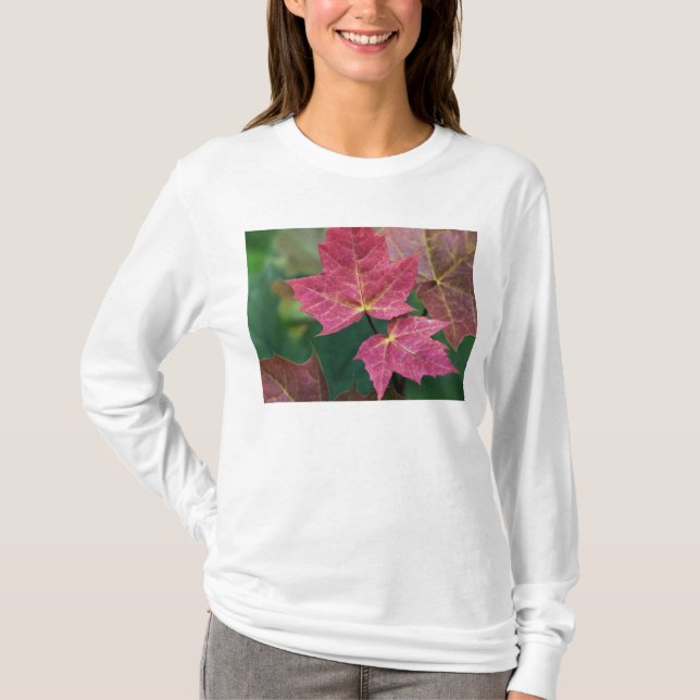 Camiseta fiel a você (Frente)