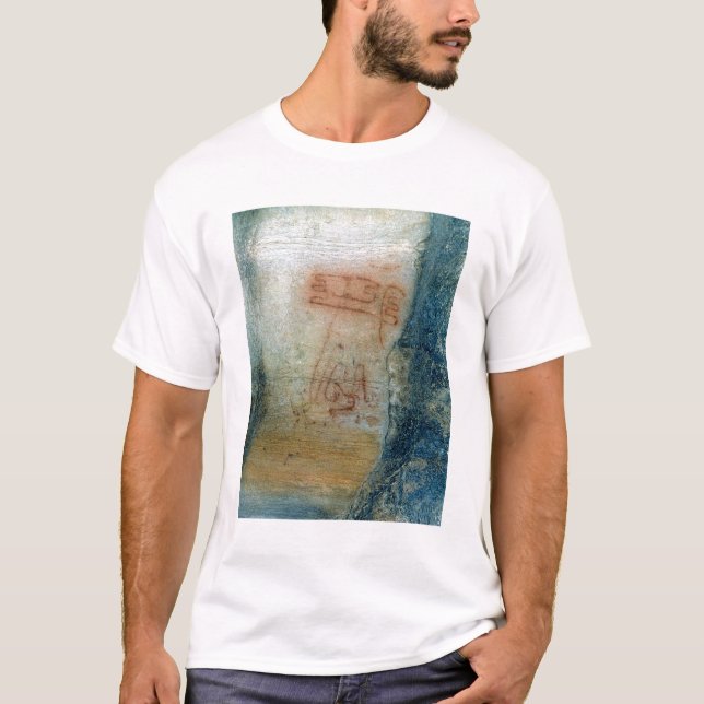 Camiseta Figuras simbólicas (pintura de caverna) (Frente)