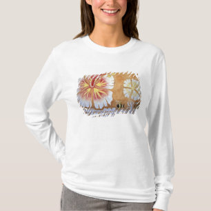 Camiseta Fiji, arte mural.