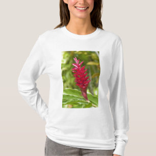 Camiseta Fiji, Ilha Viti Levu. Flor.