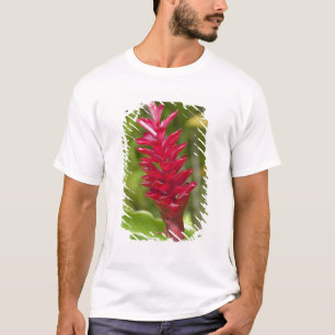 Camiseta Fiji, Ilha Viti Levu. Flor.