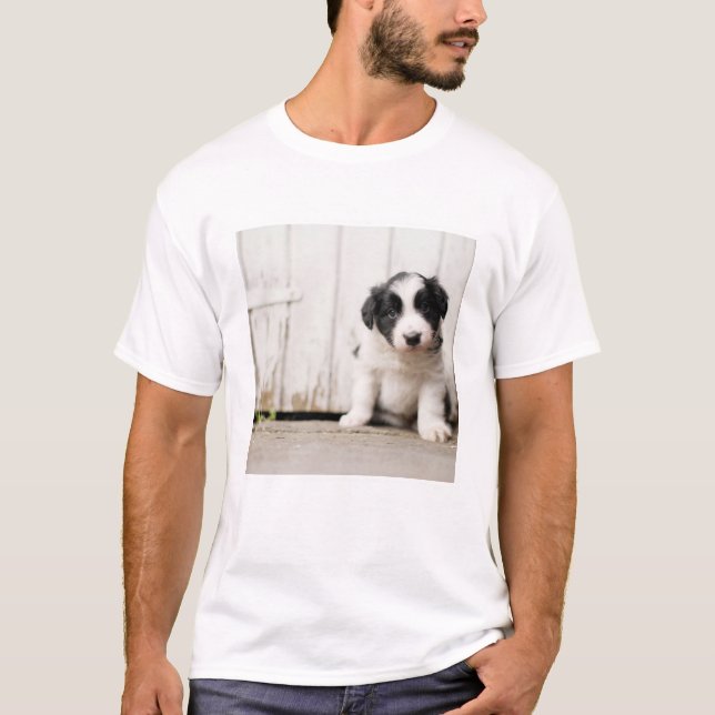 Camiseta Filhote de cachorro de border collie (Frente)