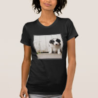 Filhote de cachorro de border collie