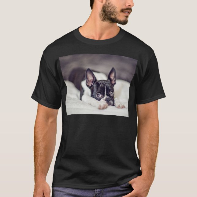 Camiseta Filhote de cachorro de Boston Terrier (Frente)