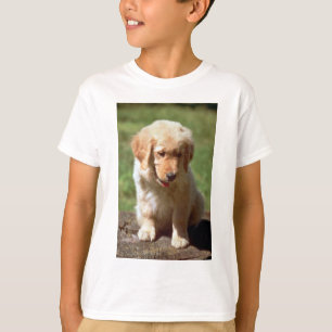 Camiseta Filhote de cachorro do golden retriever