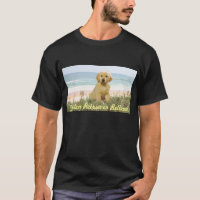 Filhote de cachorro do golden retriever no t-shirt