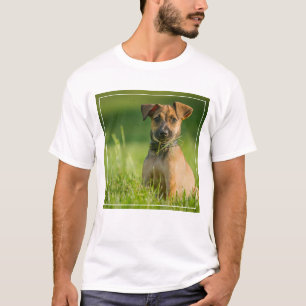 Camiseta Filhote de cachorro na grama