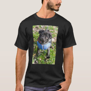 Camiseta Filhote de cachorro preto do Pug que veste uma