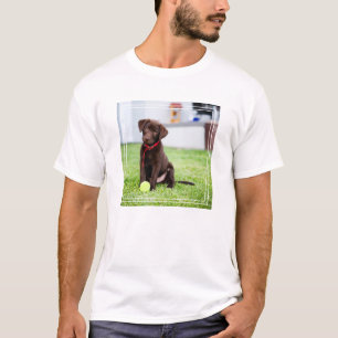 Camiseta Filhote De Labrador De Chocolate Com Bola De Têni