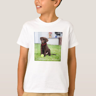Camiseta Filhote De Labrador De Chocolate Com Bola De Têni