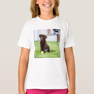 Camiseta Filhote De Labrador De Chocolate Com Bola De Têni