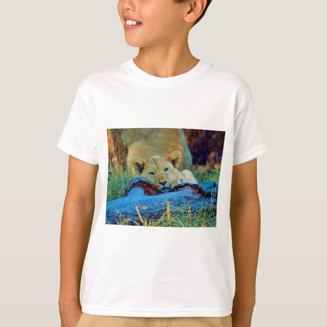 Camiseta filhote de leão (Frente)