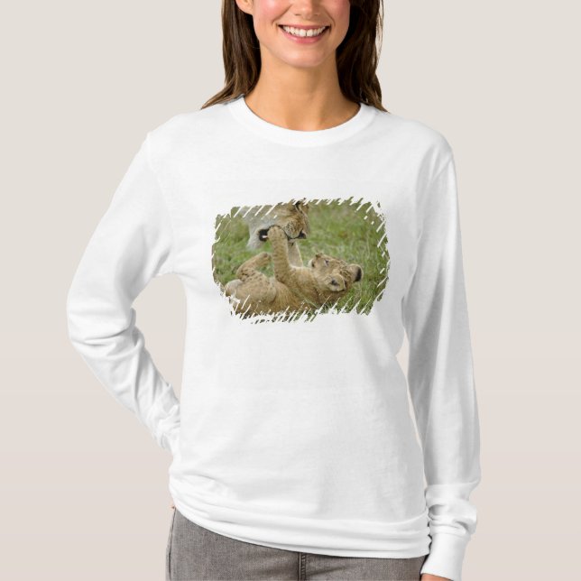 Camiseta Filhote de Leão Brincando (Frente)