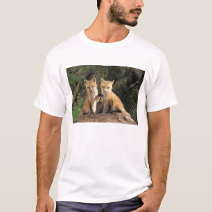 Camiseta Filhote de Raposa Vermelha em frente à toca Vulpes