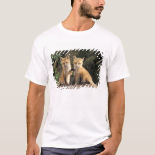 Camiseta Filhote de Raposa Vermelha em frente à toca Vulpes