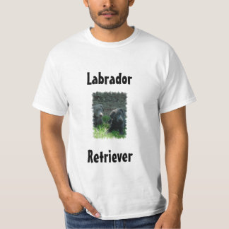 Camiseta Filhotes de cachorro de labrador retriever da