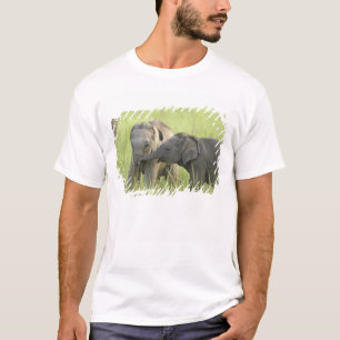 Camiseta Filhotes de Elefante Indiano / Asiático