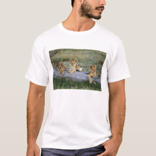 Camiseta Filhotes de Leão no Tronco